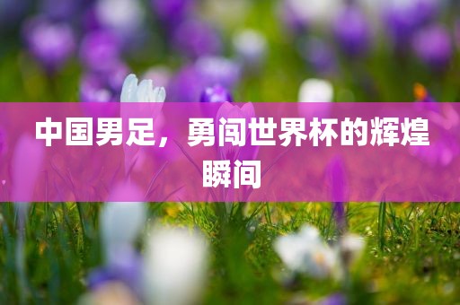 中国男足，勇闯世界杯的辉煌瞬间