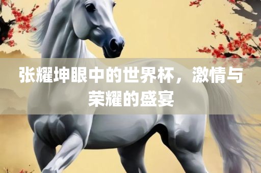 张耀坤眼中的世界杯，激情与荣耀的盛宴