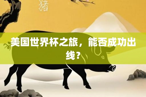 美国世界杯之旅，能否成功出线？