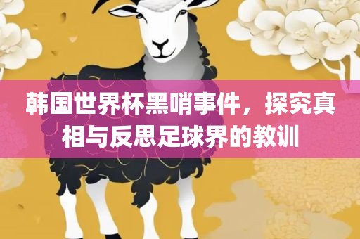 韩国世界杯黑哨事件，探究真相与反思足球界的教训