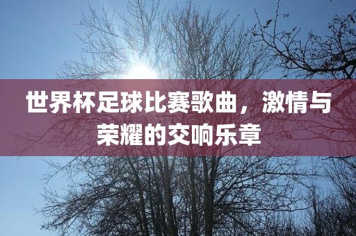 世界杯足球比赛歌曲，激情与荣耀的交响乐章