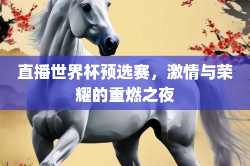 直播世界杯预选赛，激情与荣耀的重燃之夜