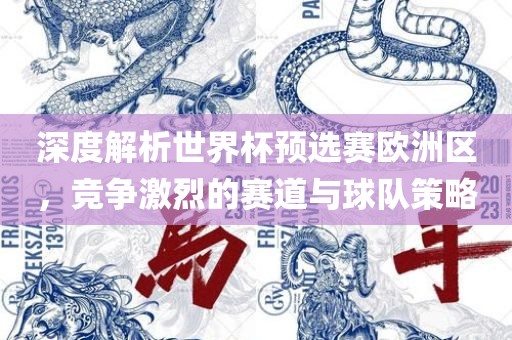深度解析世界杯预选赛欧洲区，竞争激烈的赛道与球队策略