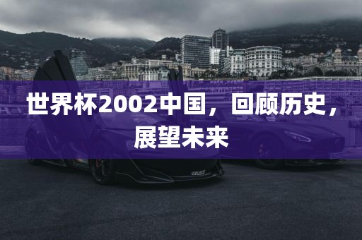 世界杯2002中国，回顾历史，展望未来
