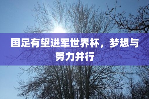 国足有望进军世界杯，梦想与努力并行