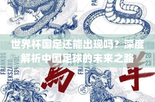 世界杯国足还能出现吗？深度解析中国足球的未来之路