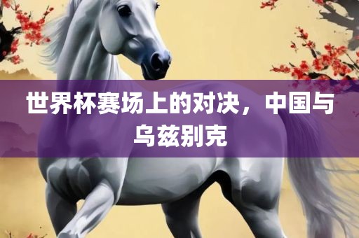 世界杯赛场上的对决，中国与乌兹别克