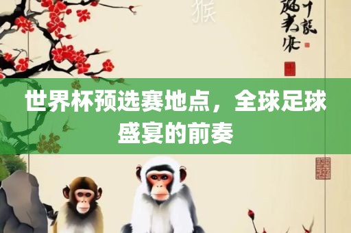 世界杯预选赛地点，全球足球盛宴的前奏眉山市正发家政服务有限公司