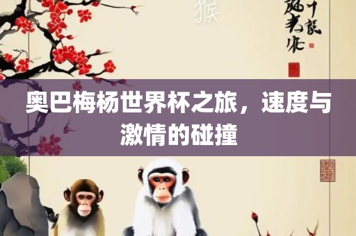奥巴梅杨世界杯之旅，速度与激情的碰撞