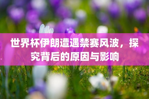 世界杯伊朗遭遇禁赛风波，探究背后的原因与影响