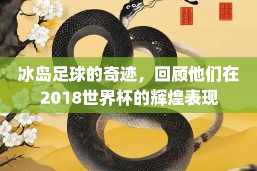 冰岛足球的奇迹，回顾他们在2018世界杯的辉煌表现