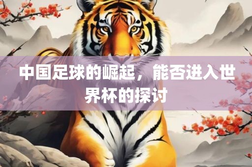 中国足球的崛起，能否进入世界杯的探讨