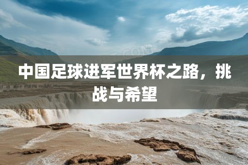 中国足球进军世界杯之路，挑战与希望