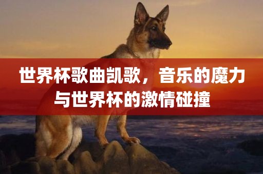 世界杯歌曲凯歌，音乐的魔力与世界杯的激情碰撞