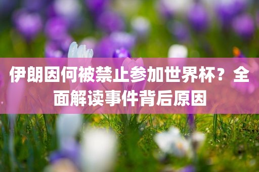 伊朗因何被禁止参加世界杯？全面解读事件背后原因