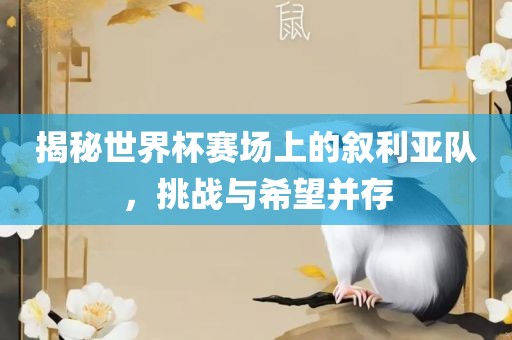 揭秘世界杯赛场上的叙利亚队，挑战与希望并存眉山市正发家政服务有限公司