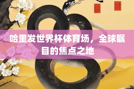 哈里发世界杯体育场，全球瞩目的焦点之地