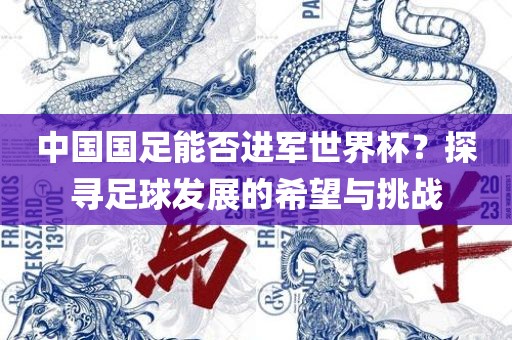 中国国足能否进军世界杯？探寻足球发展的希望与挑战