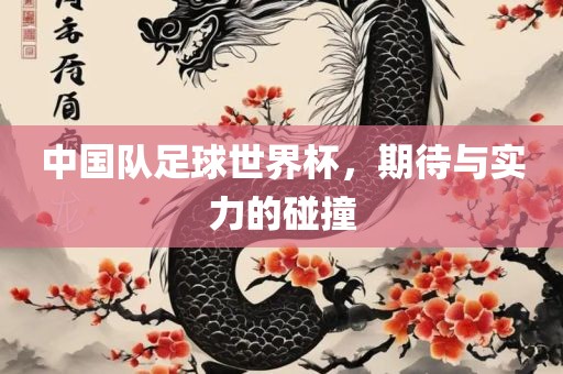 中国队足球世界杯，期待与实力的碰撞