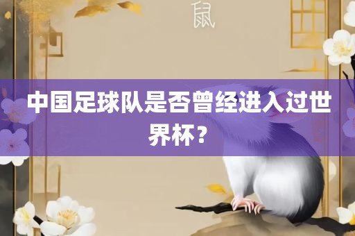 中国足球队是否曾经进入过世界杯？