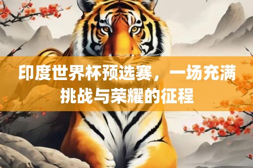 印度世界杯预选赛，一场充满挑战与荣耀的征程