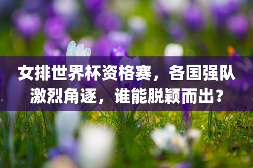 zhengliyun 第6页