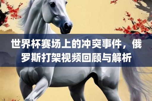 世界杯赛场上的冲突事件，俄罗斯打架视频回顾与解析