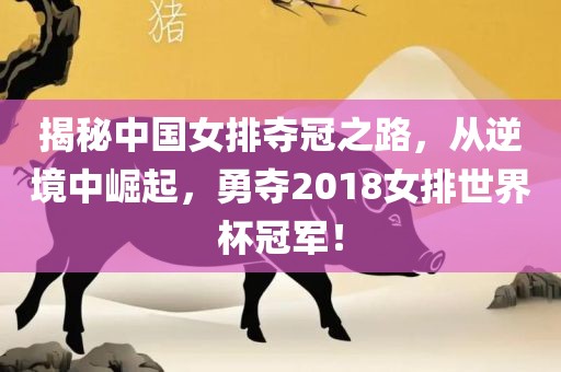 揭秘中国女排夺冠之路，从逆境中崛起，勇夺2018女排世界杯冠军！