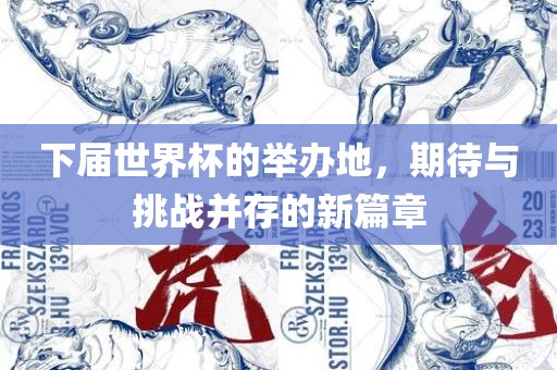 下届世界杯的举办地，期待与挑战并存的新篇章