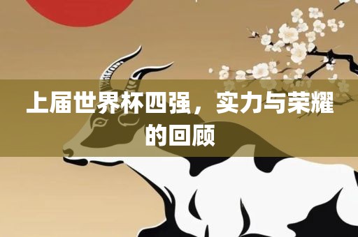 上届世界杯四强，实力与荣耀的回顾