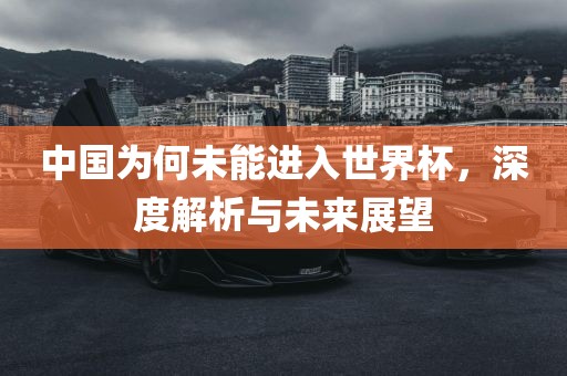 中国为何未能进入世界杯，深度解析与未来展望