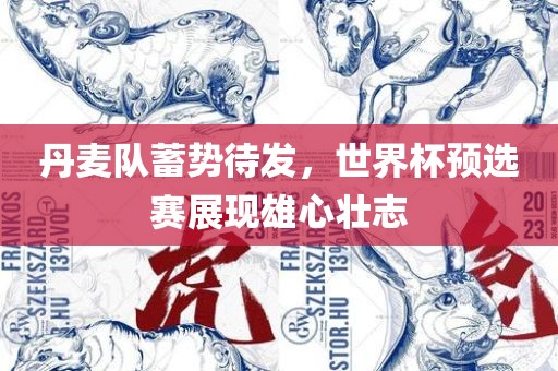 丹麦队蓄势待发，世界杯预选赛展现雄心壮志