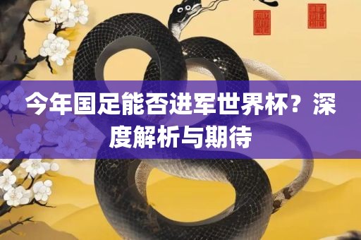 今年国足能否进军世界杯？深度解析与期待