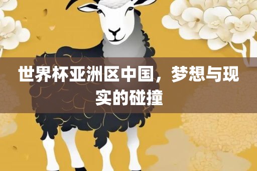 世界杯亚洲区中国，梦想与现实的碰撞