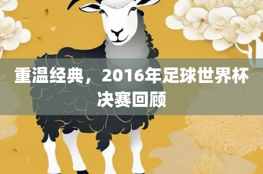 重温经典，2016年足球世界杯决赛回顾