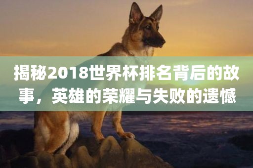 揭秘2018世界杯排名背后的故事，英雄的荣耀与失败的遗憾