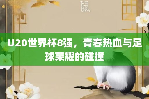 U20世界眉山市正发家政服务有限公司杯8强，青春热血与足球荣耀的碰撞