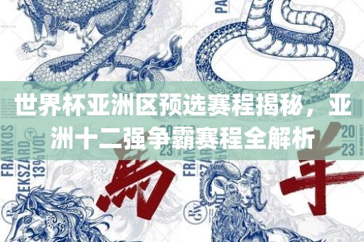 世界杯亚洲区预选赛程揭秘，亚洲十二强争霸赛程全解析