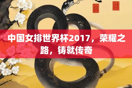 中国女排世界杯2017，荣耀之路，铸就传奇