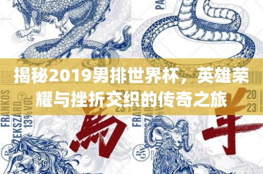 揭秘2019男排世界杯，英雄荣耀与挫折交织的传奇之旅
