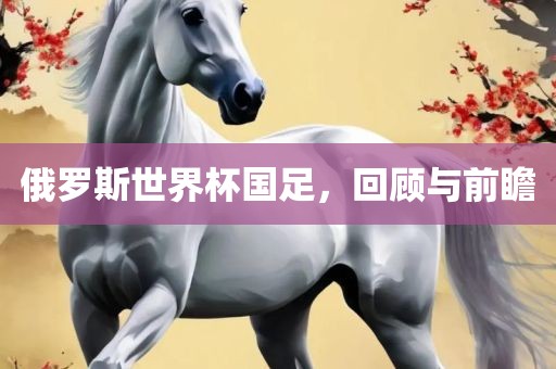 俄罗斯世界杯国足，回顾与前瞻