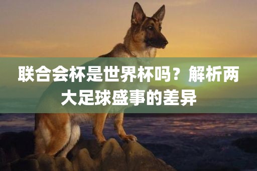 联合会杯是世界杯吗？解析两大足球盛事的差异