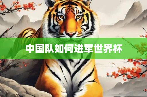 中国队如何进军世界杯