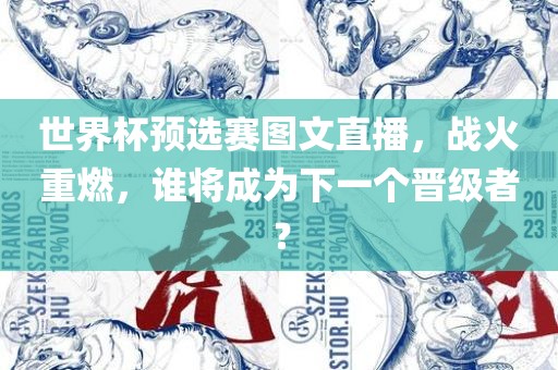 世界杯预选赛图文直播，战火重燃，谁将成为下一个晋级者？