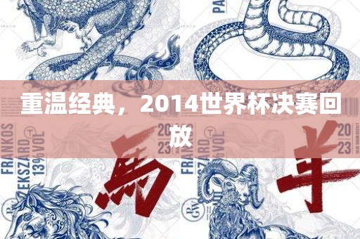 重温经典，2014世界杯决赛回放