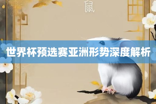 世界杯预选赛亚洲形势深度解析