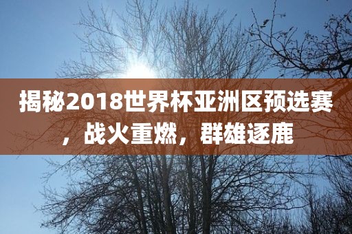揭秘2018世界杯亚洲区预选赛，战火重燃，群雄逐鹿
