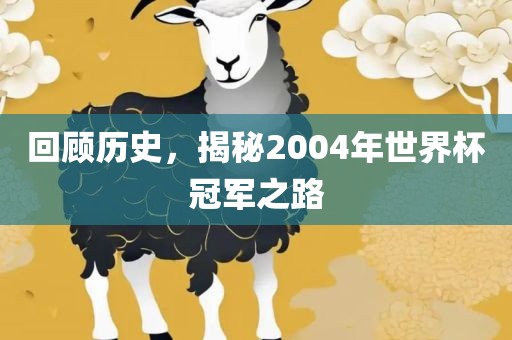 回顾历史，揭秘2004年世界杯冠军之路