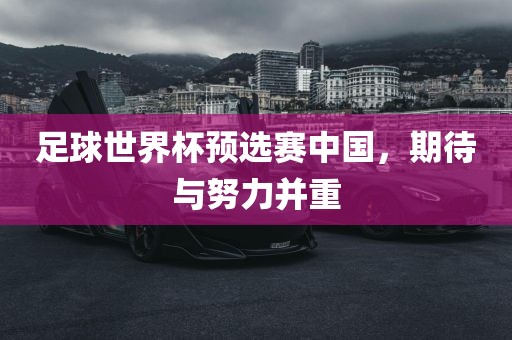 足球世界杯预选赛中国，期待与努力并重