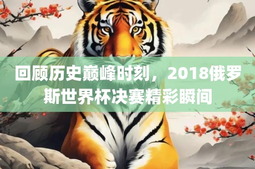 回顾历史巅峰时刻，2018俄罗斯世界杯决赛精彩瞬间